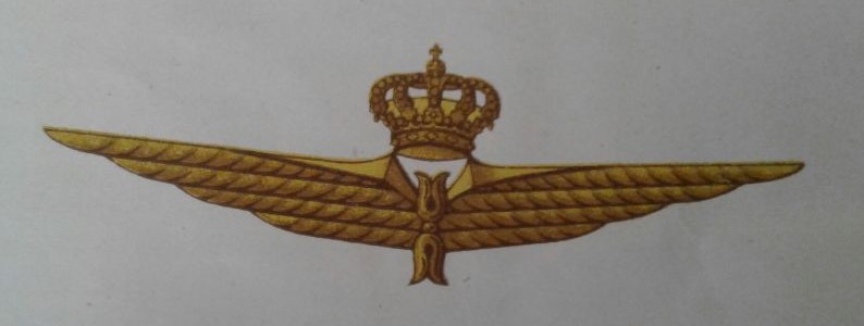 brevetto osservatore regia aeronautica